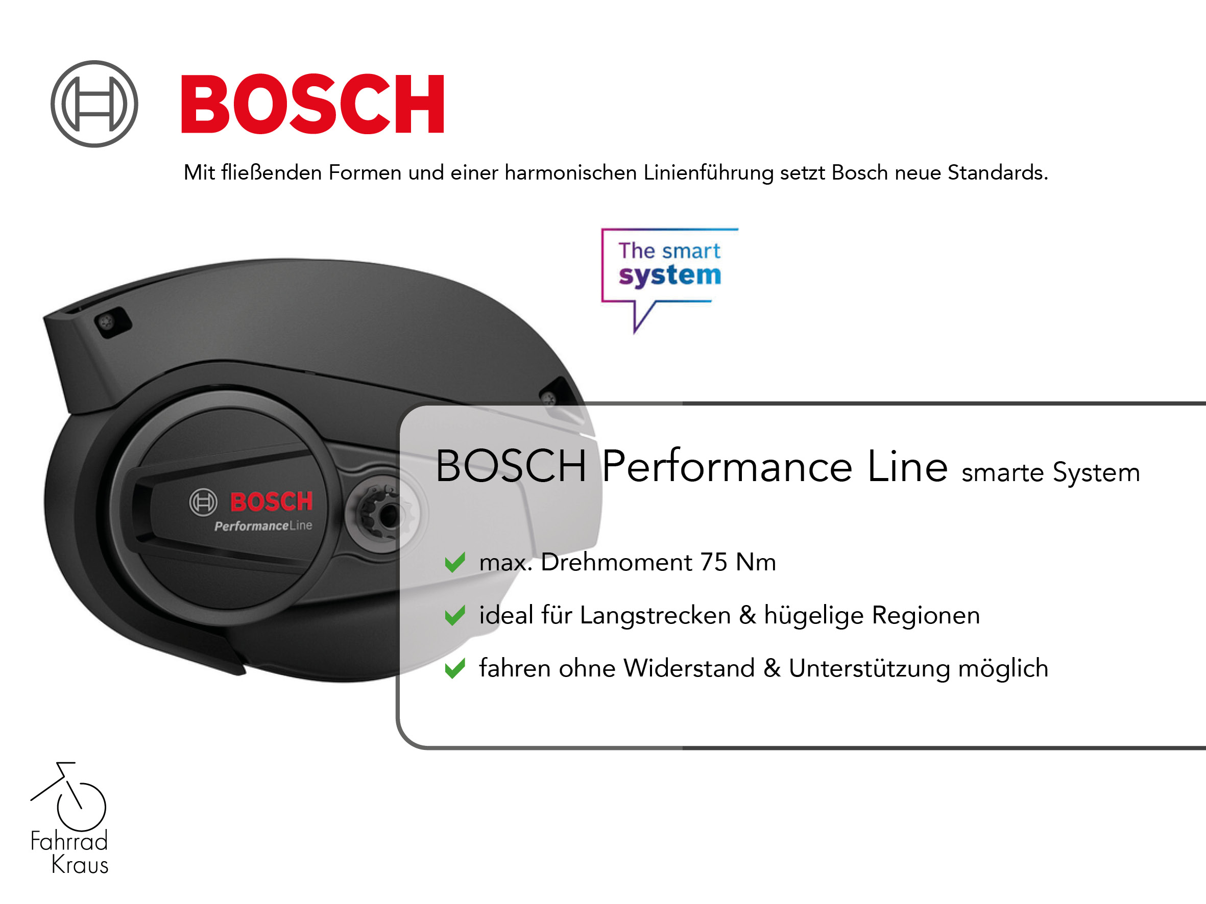 Pegasus SOLERO EVO 5 R BELT grau | 625WH | E-Bike Damen City | 2024 | Rücktritt-Nabe