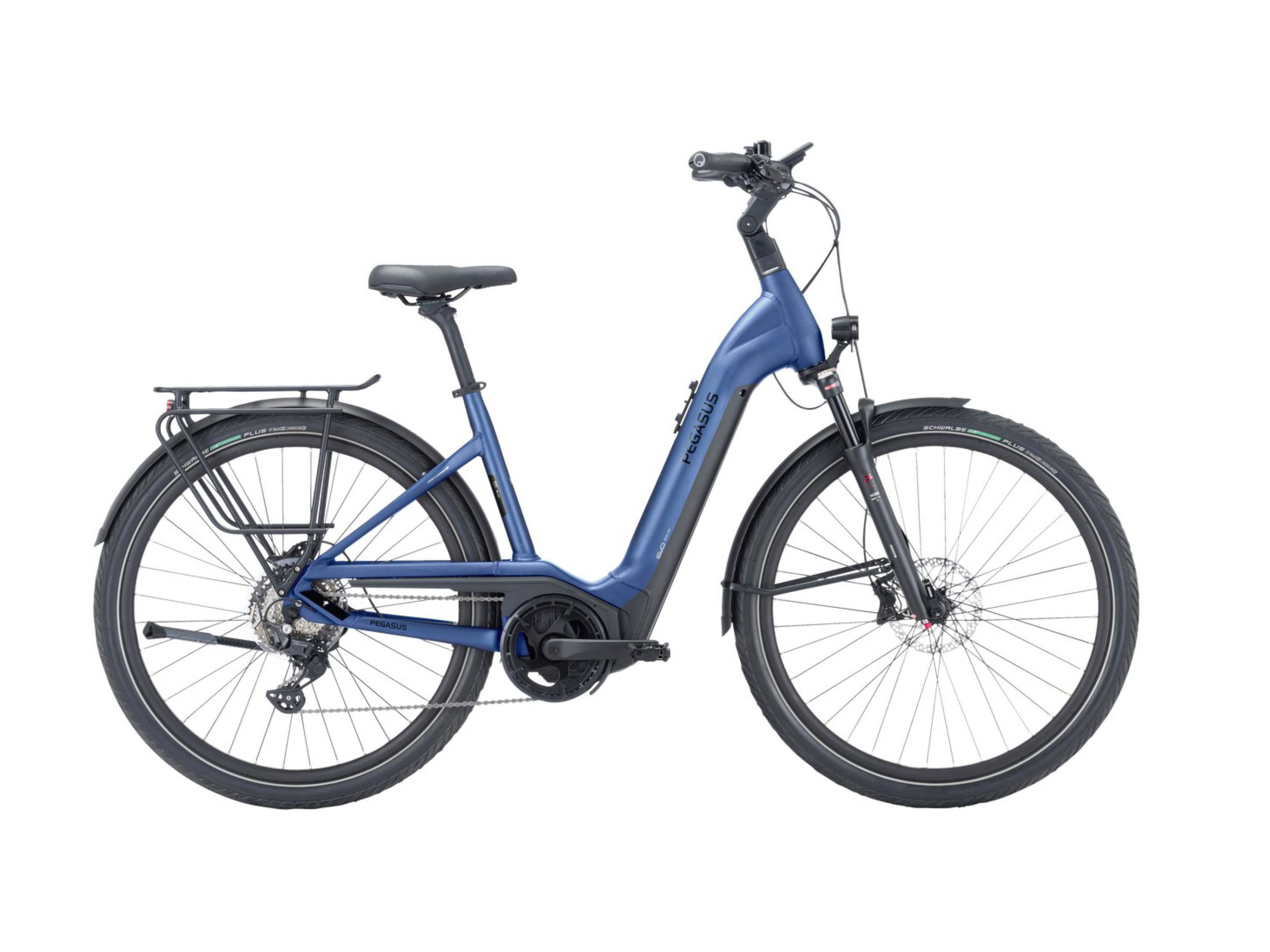Pegasus_Strong_XXL_Bike