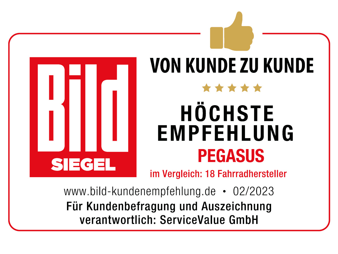 Pegasus Strong Evo 10 Lite blau | 500WH | E-Bike XXL | 2024 | Kettenschaltung
